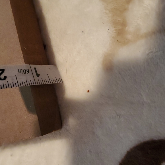 Autumn monogram F tag - Picture 5 of 7